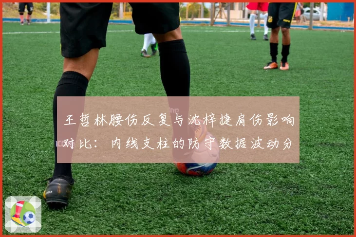 王哲林腰伤反复与沈梓捷肩伤影响对比：内线支柱的防守数据波动分析