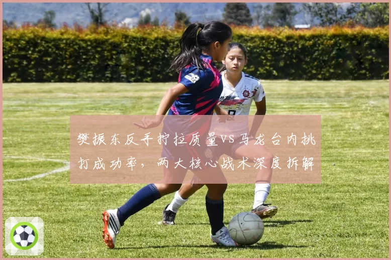 樊振东反手拧拉质量vs马龙台内挑打成功率,两大核心战术深度拆解